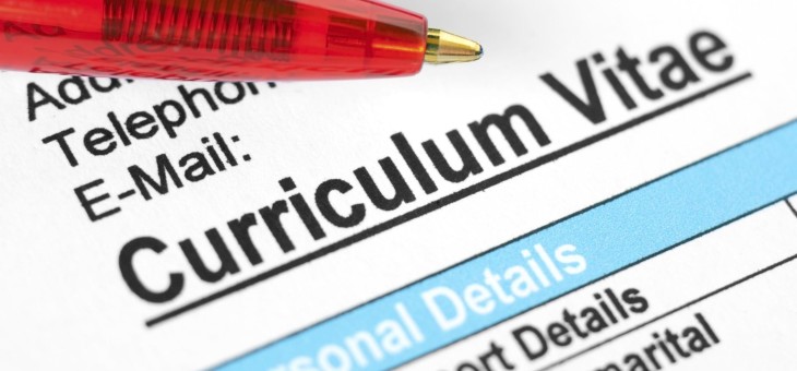 Il curriculum del candidatO nubile